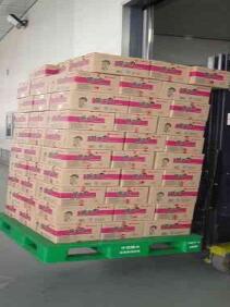 食品行業(yè)倉儲(chǔ)用塑料托盤